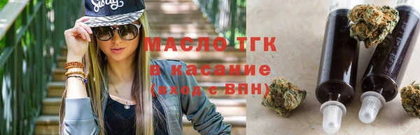 крисы Верхний Тагил